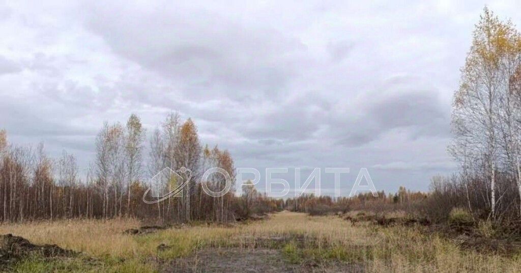 земля р-н Нижнетавдинский снт Моторостроитель фото 1