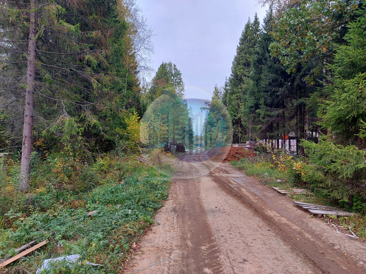 земля городской округ Пушкинский д Могильцы Ярославское шоссе фото 26