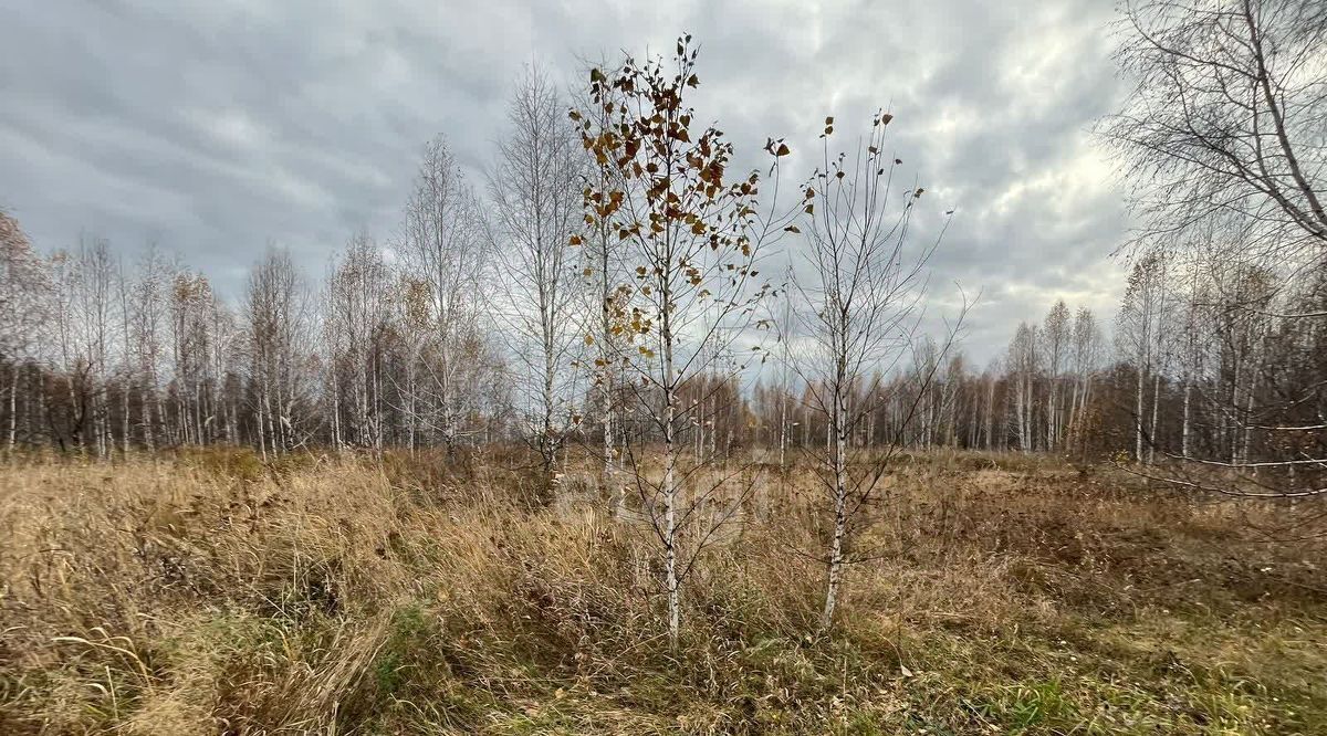 земля р-н Новосибирский снт Ветеран Плотниковский сельсовет фото 2