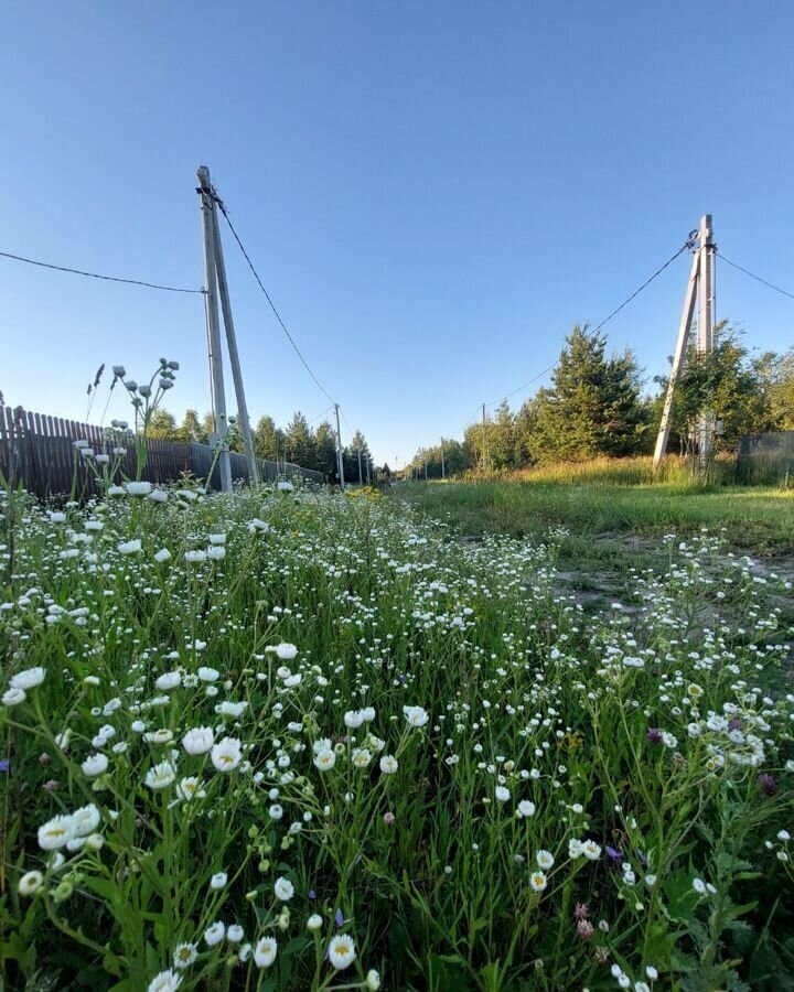 земля городской округ Павловский Посад д Криулино ул Плодовая 9767 км, Электросталь, Носовихинское шоссе фото 1