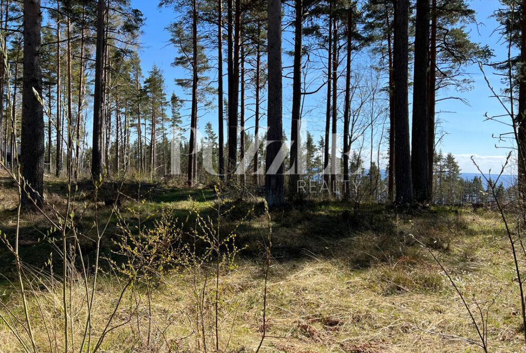 земля р-н Выборгский п Пески Полянское сельское поселение фото 4