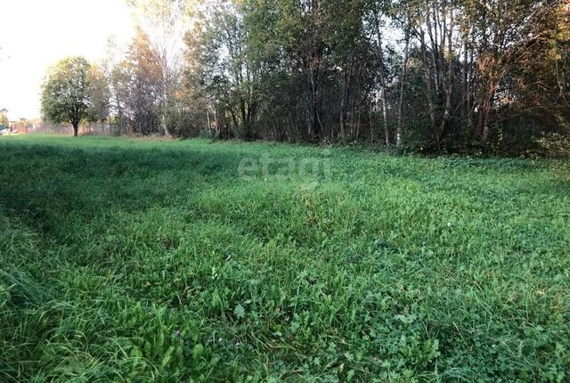 ул Лесная Будогощское городское поселение фото