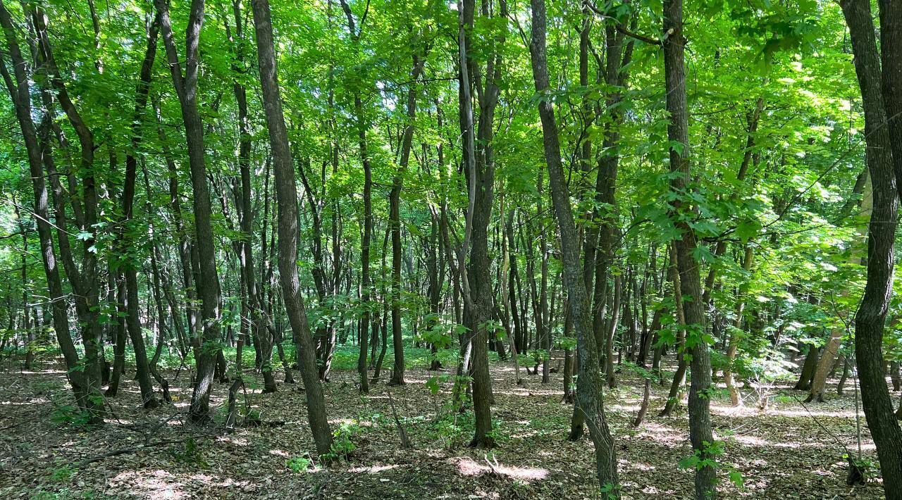 дом г Саратов р-н Ленинский ул Савельевская фото 9