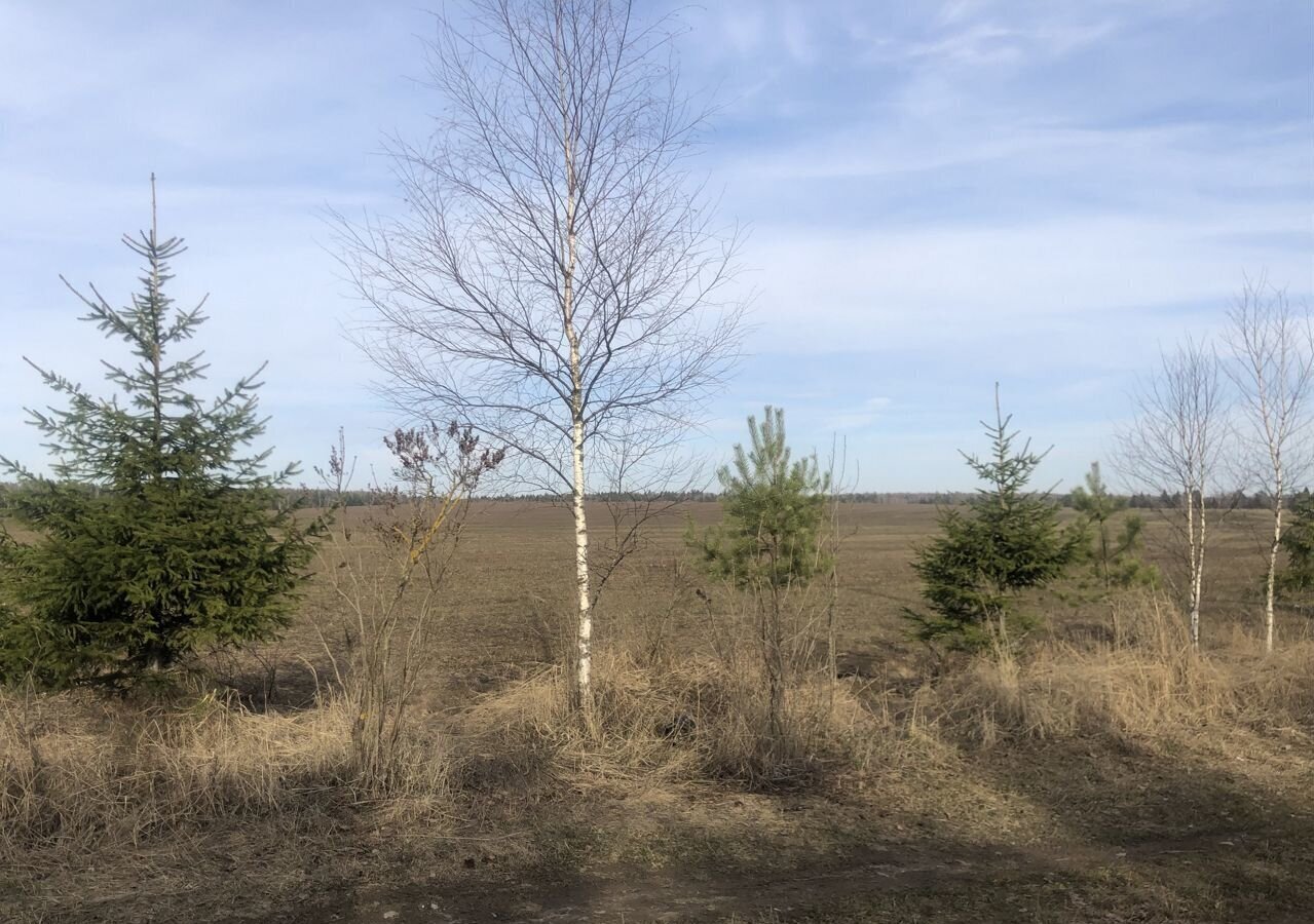 дом городской округ Пушкинский г Красноармейск 40 км, 8, д. Михайловское, Ярославское шоссе фото 32