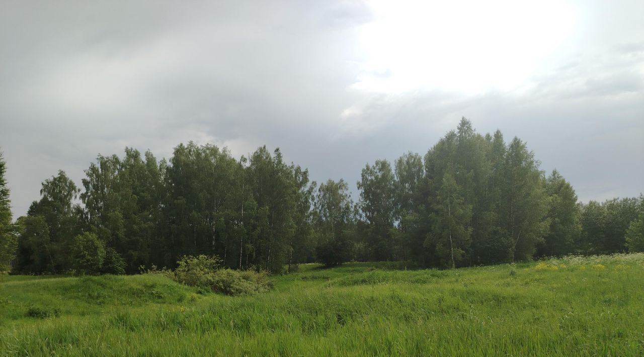 земля р-н Богородский г Богородск фото 9