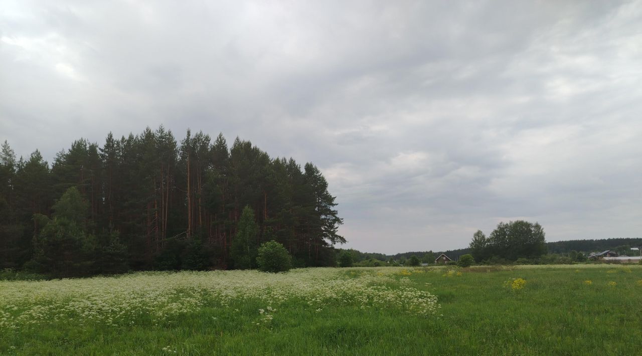 земля р-н Богородский г Богородск фото 31