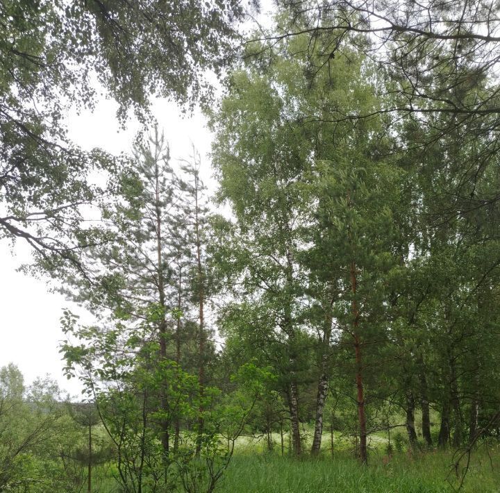 земля р-н Богородский г Богородск фото 29