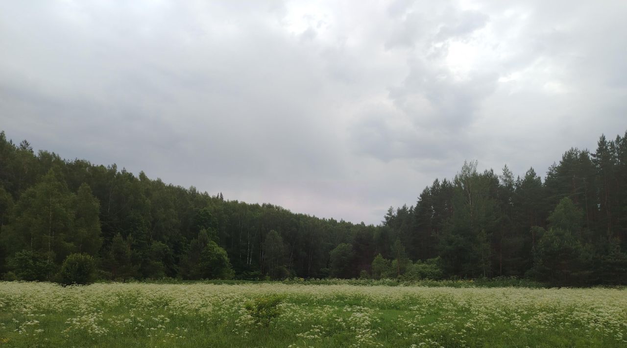 земля р-н Богородский г Богородск фото 34