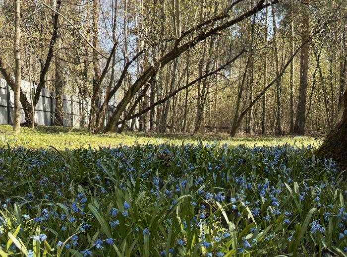 земля городской округ Люберцы рп Малаховка ш Михневское 1 Малаховка фото 1