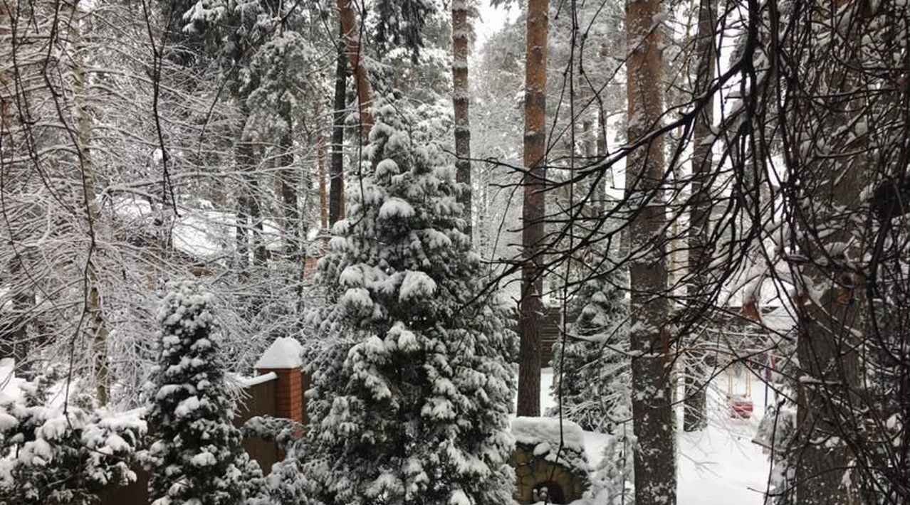 дом городской округ Раменский Кратово дп, ул. Тенистая, Кратово фото 20