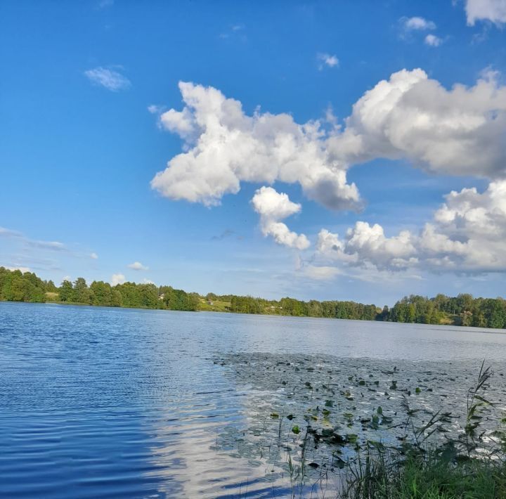 земля р-н Новосокольнический Пригородная волость фото 2