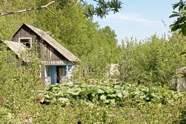 городской округ Южно-Сахалинск, СНТ Мукомол фото