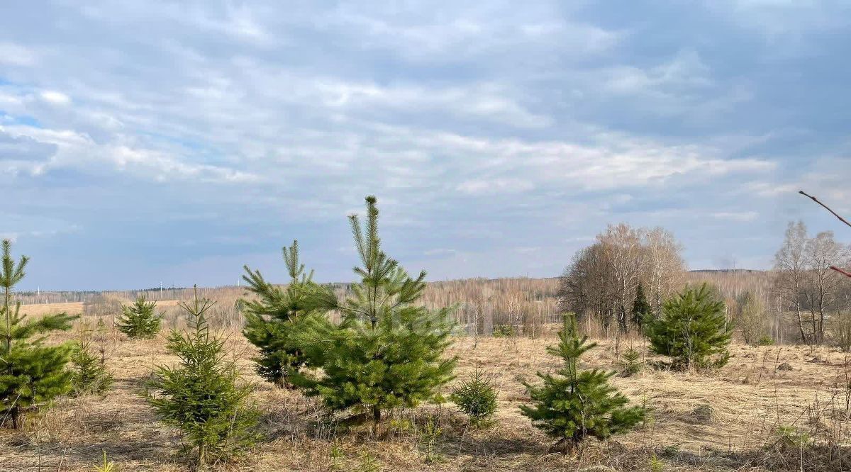 земля р-н Тарусский д Похвиснево с пос, 344, Заречье кп фото 12