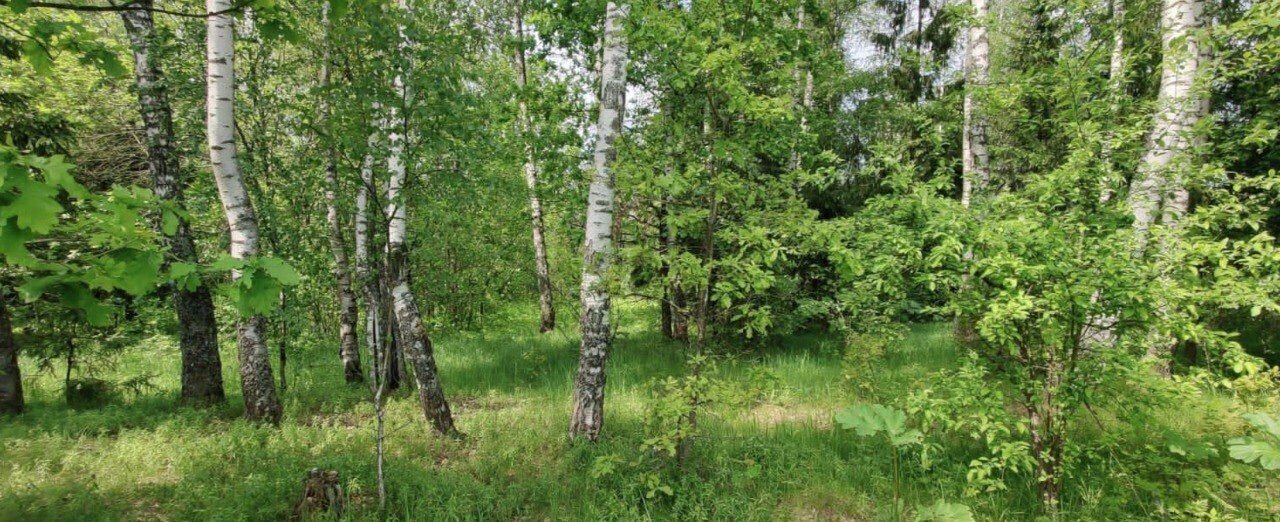 земля городской округ Солнечногорск д Радумля р-н мкр Механического завода №1 9753 км, № 1, г. о. Солнечногорск, Поварово, Ленинградское шоссе фото 2