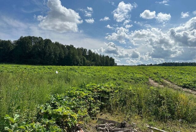 городской округ Клин фото