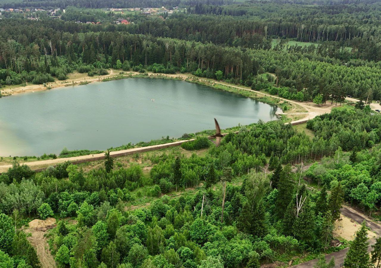 земля г Лосино-Петровский рп Свердловский 9746 км, Щёлковское шоссе фото 15