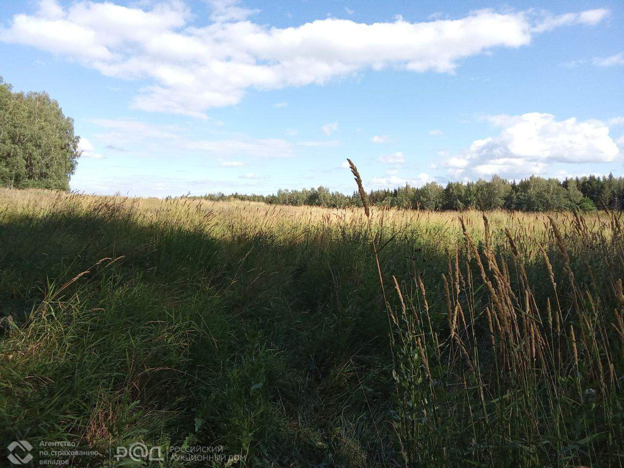 земля городской округ Истра д Андреевское Центральная улица фото 2