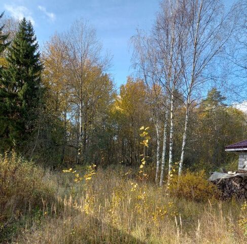 д Поркузи Красноборское городское поселение, Поляны СНТ фото