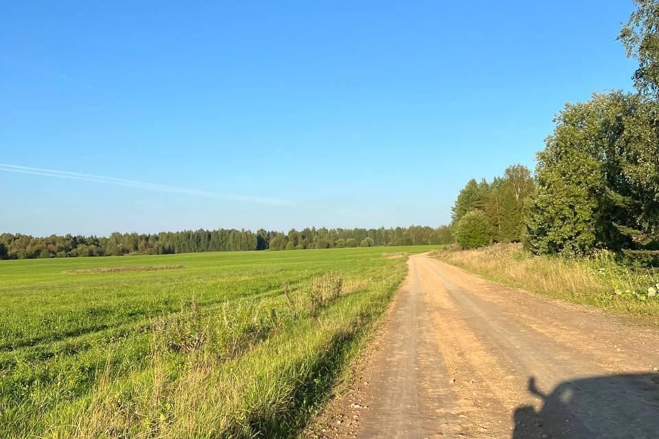 земля р-н Грязовецкий деревня Погорелка сельское поселение Юровское фото 1