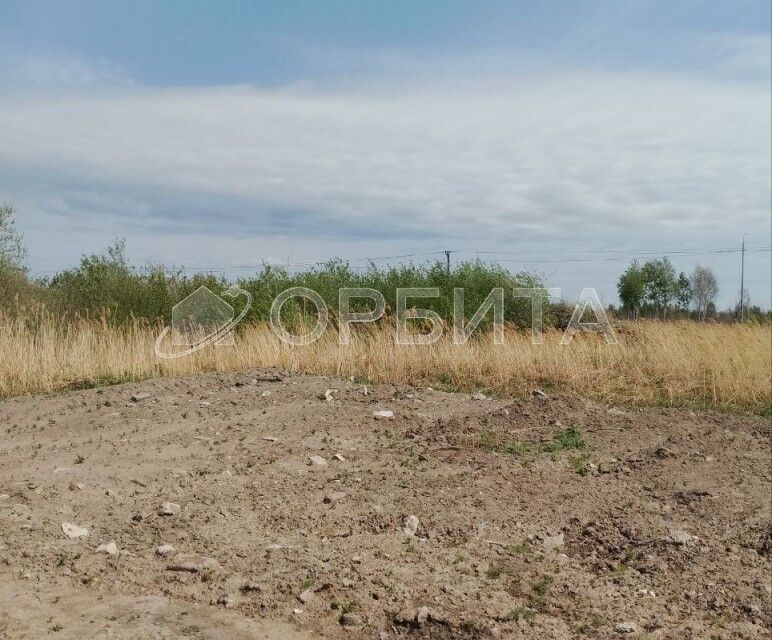 земля г Тюмень тракт Велижанский городской округ Тюмень фото 3