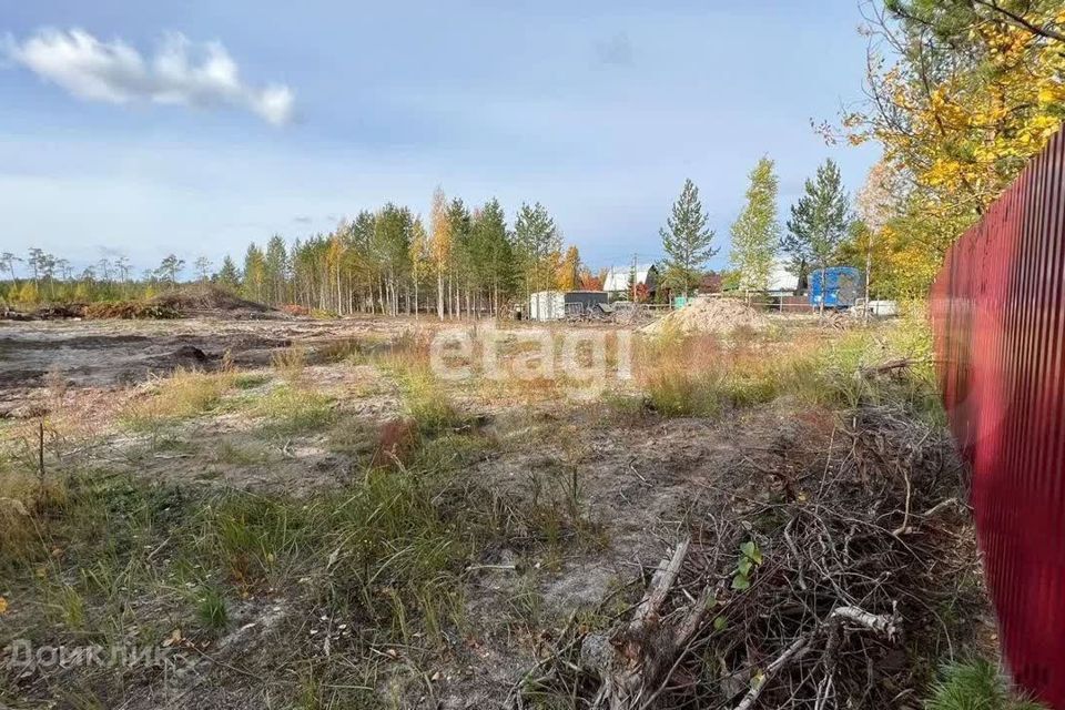 земля г Сургут ДНТ Восточное, Сургутский район фото 2