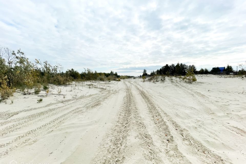 земля Сургут городской округ, СТСН Черёмушки, 30-я линия фото 5