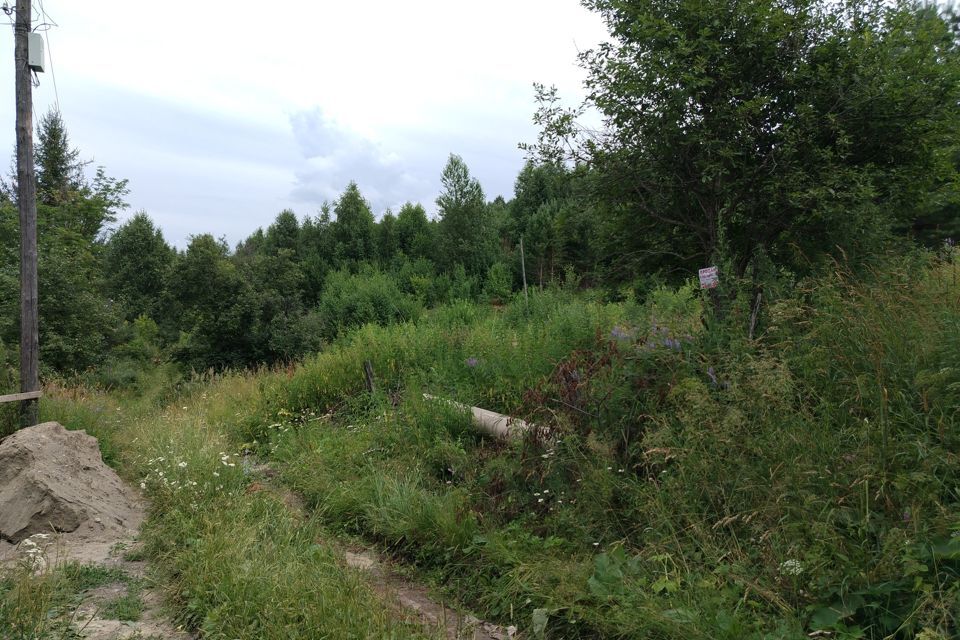 земля г Горно-Алтайск городской округ Горно-Алтайск, Садоводство Алтай-4 фото 3