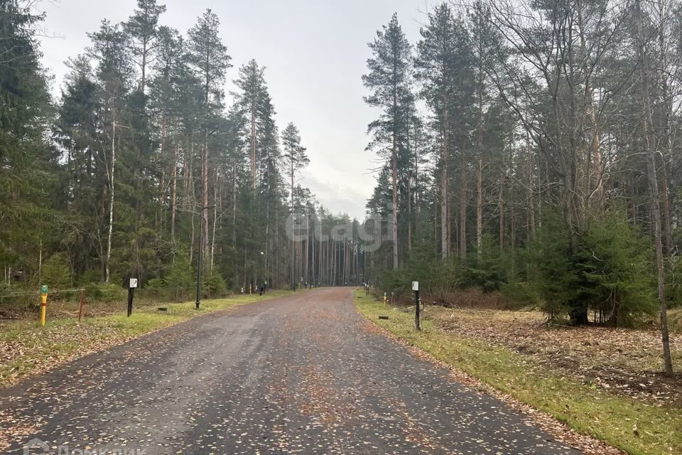 земля р-н Выборгский городской посёлок Рощино, Центральный сквер фото 2