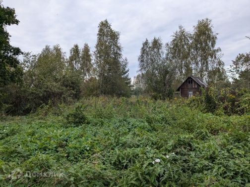 земля г Вологда городской округ Вологда, СТ Незабудка фото 2