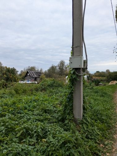 земля г Вологда городской округ Вологда, СТ Незабудка фото 9