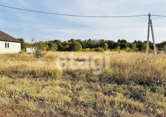 Гончаровка фото