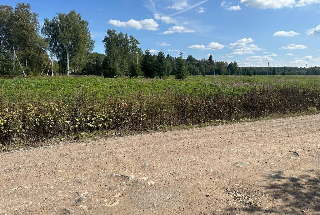 земля городской округ Клин д Васильевское-Соймоново фото 10