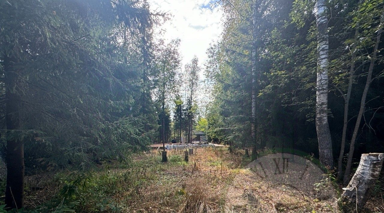 земля городской округ Солнечногорск с Алабушево ул Цветочная Зеленоград — Крюково фото 7