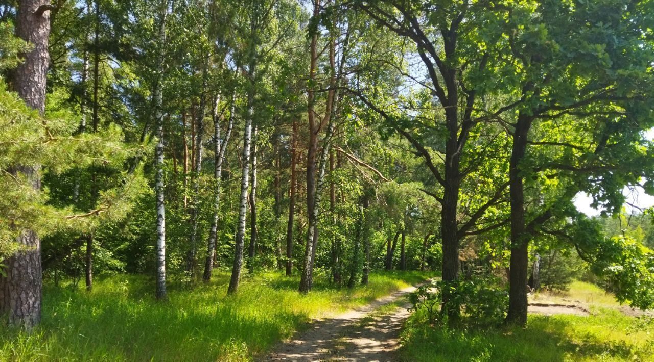 земля Коломна городской округ, Росинка СНТ фото 6