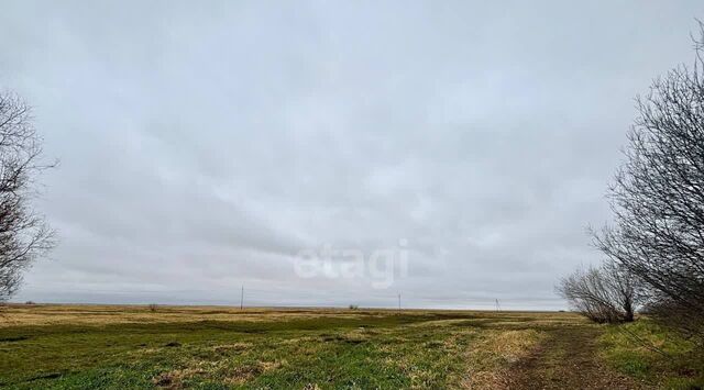 тер урочище Таволожное Ханты-Мансийск фото