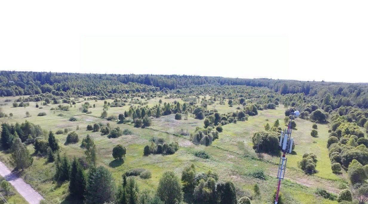 земля р-н Боровский д Каверино с пос, Совьяки фото 12