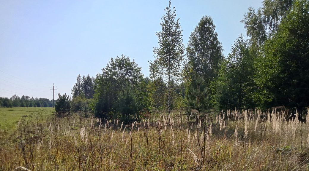 офис городской округ Воскресенск д Губино фото 1