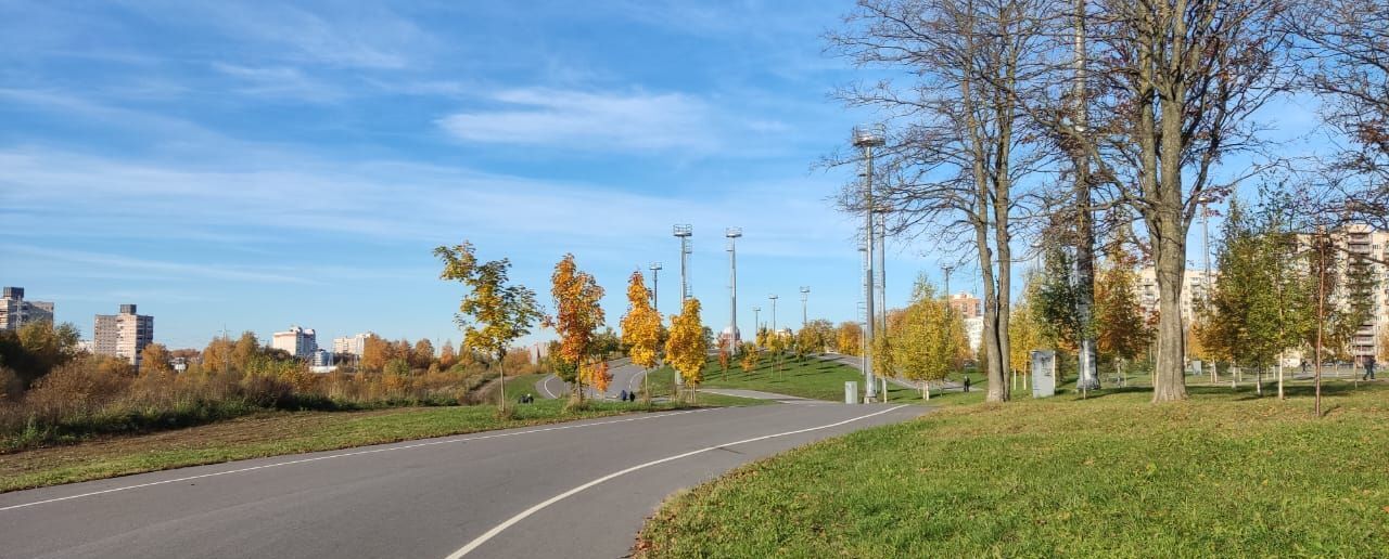 квартира г Санкт-Петербург метро Гражданский Проспект пр-кт Луначарского 108к/2 округ № 21 фото 25