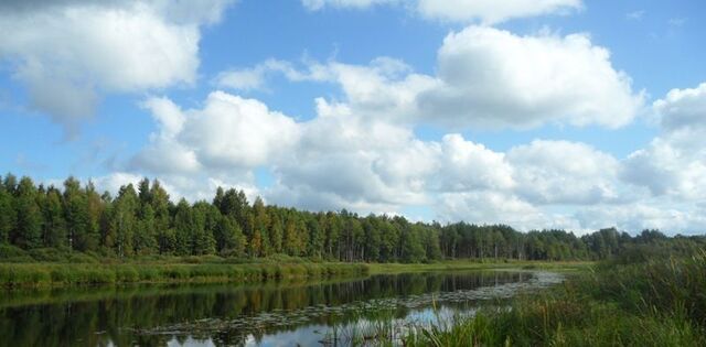 земля д Великуша Самолвовская волость фото