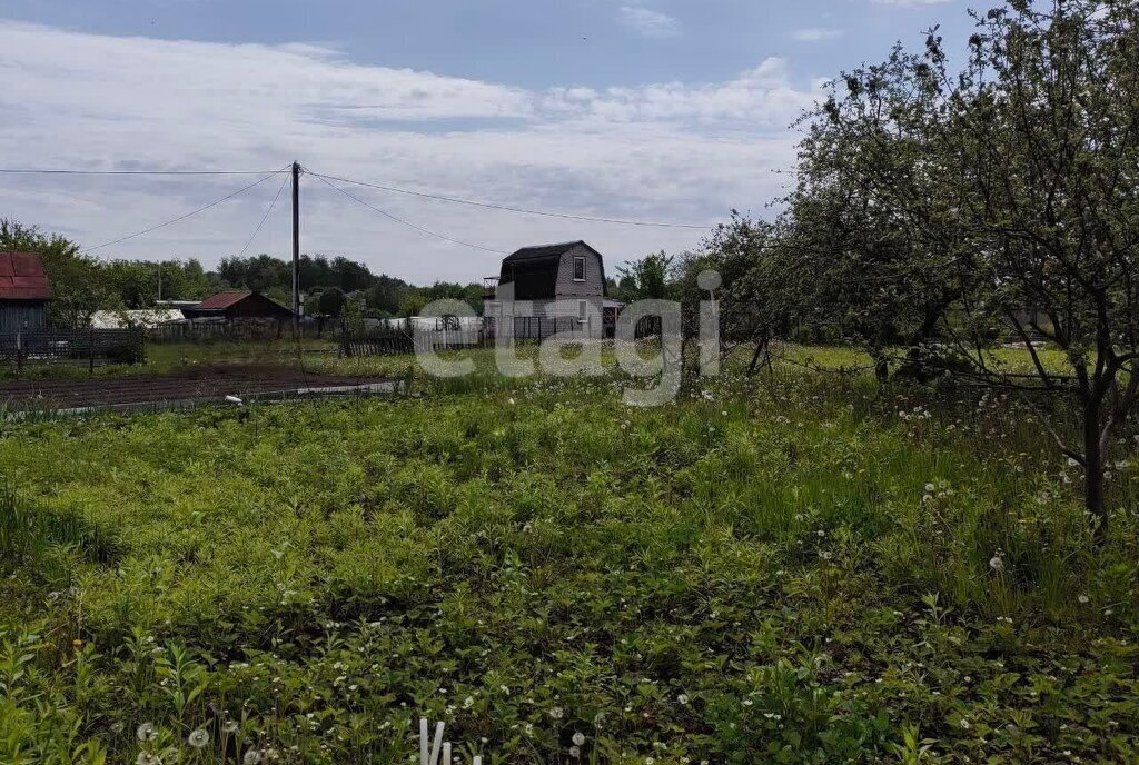 земля р-н Брянский снт Надежда Брянск, садоводческое товарищество фото 6