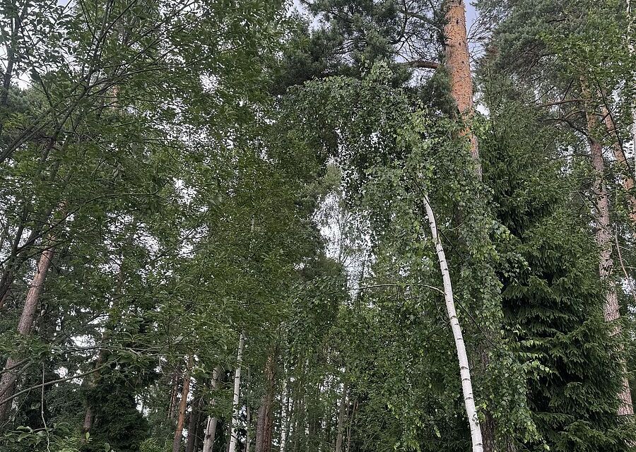 земля городской округ Красногорск Никольская слобода фото 3