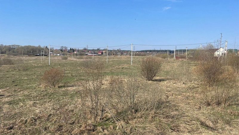 земля городской округ Талдомский Новогуслево фото 4