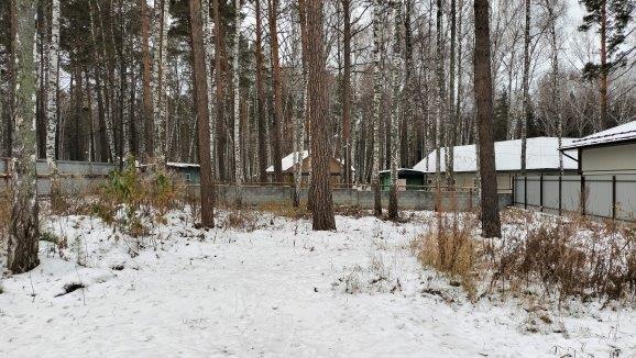 земля г Новосибирск р-н Заельцовский Заельцовская, Европейский территория тсн фото 2