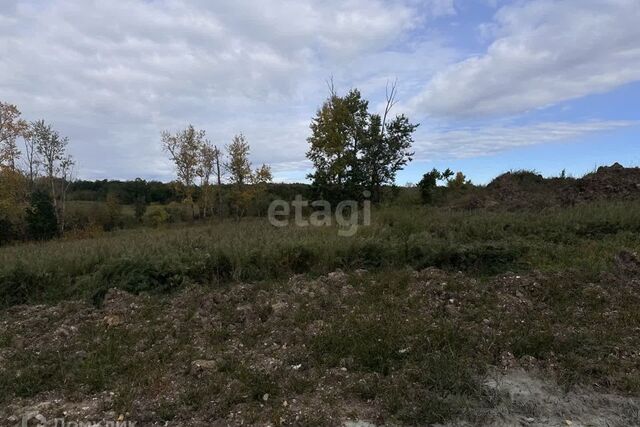 Плодопитомник, городской округ Благовещенск фото