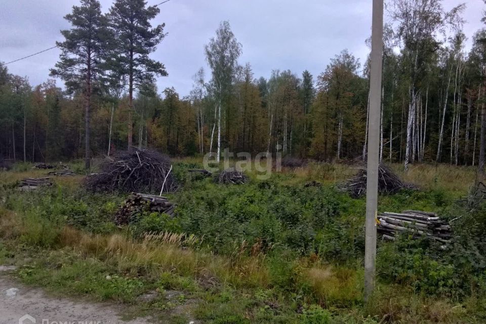 земля г Екатеринбург Берёзовский городской округ, СНТ 127 Дачник фото 1