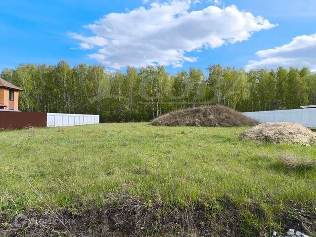 село Луговое фото