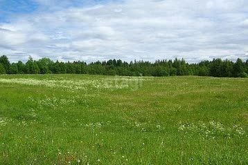 земля р-н Зеленоградский г Зеленоградск фото 1