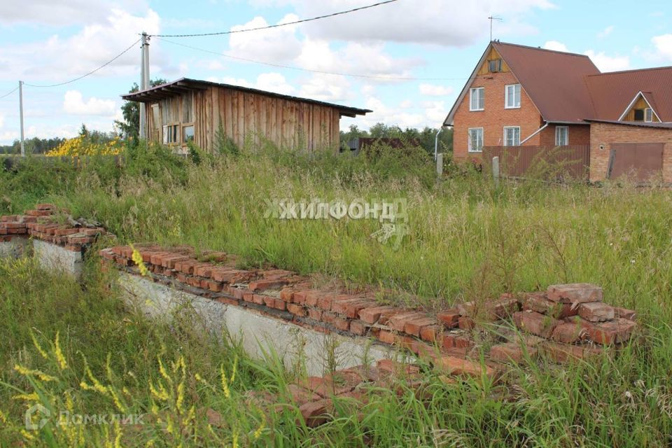 земля р-н Новосибирский с Береговое ул Степная Боровской сельсовет фото 1