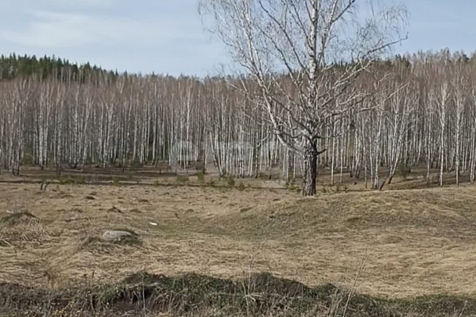 земля Миасский городской округ, Сыростанский территориальный округ фото 8