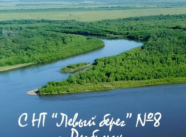 снт Левый берег N 8 8 фото